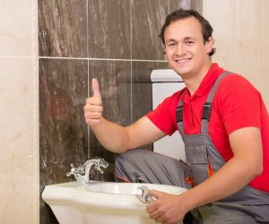 Why Choose Professional Plumbers